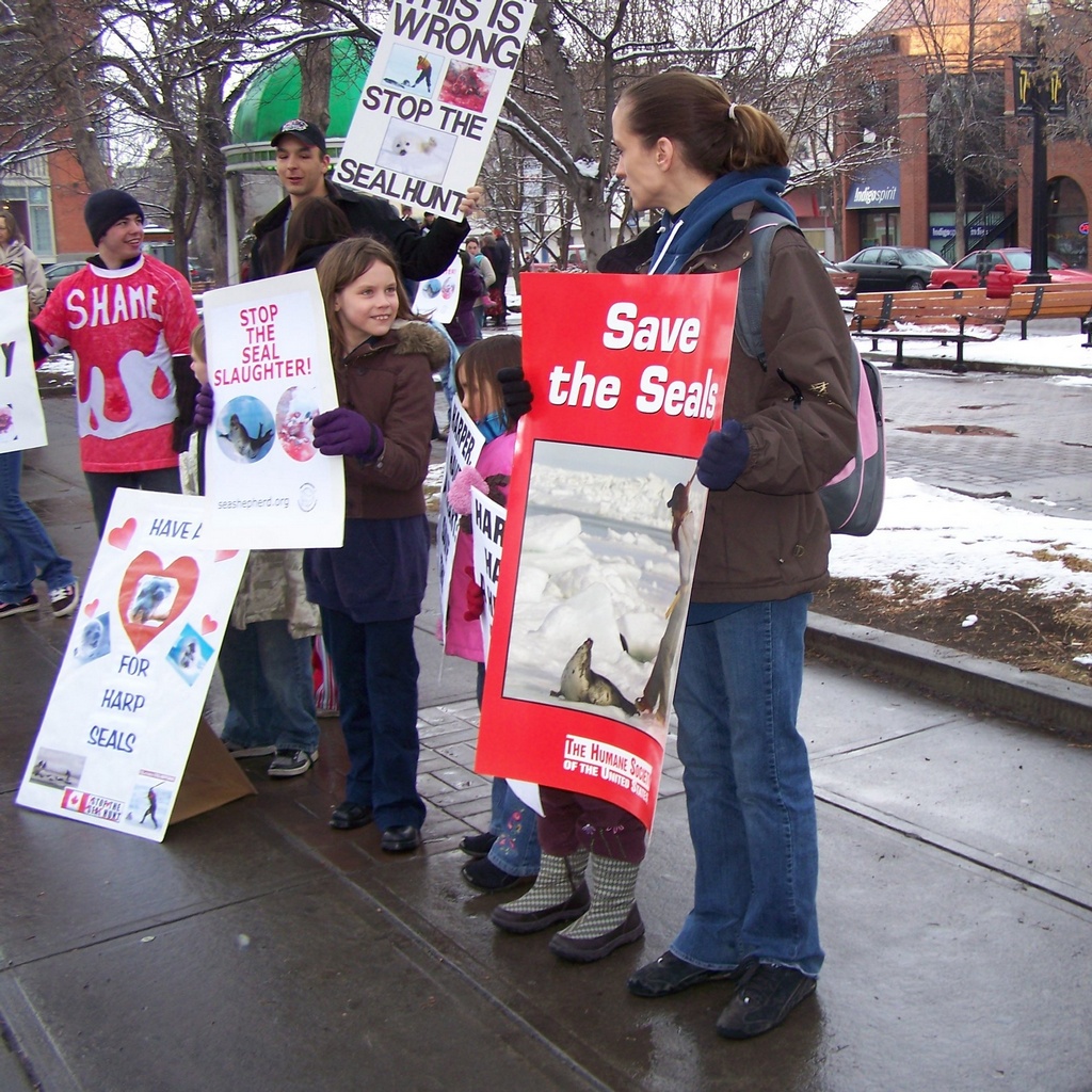 Anti-seal placards on 17th Avenue