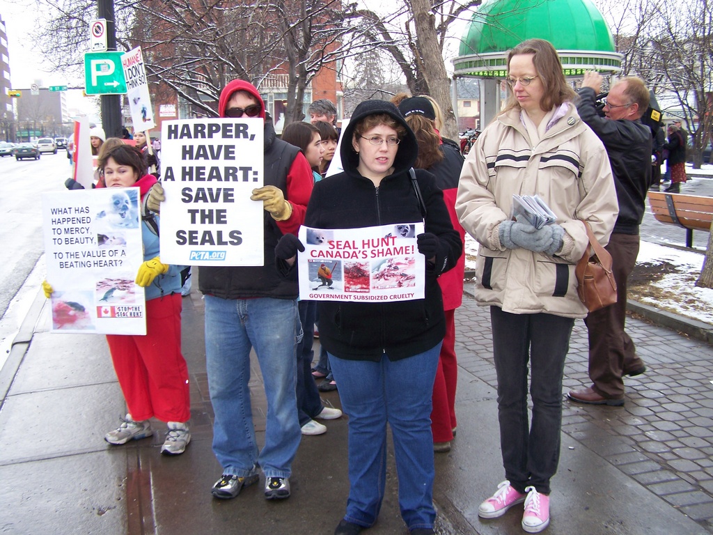 Harper Have a Heart, Save the Seals