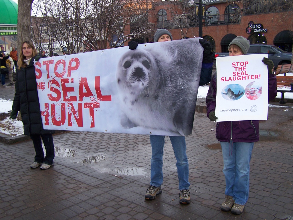 Stop seal hunt / Stop the seal slaughter