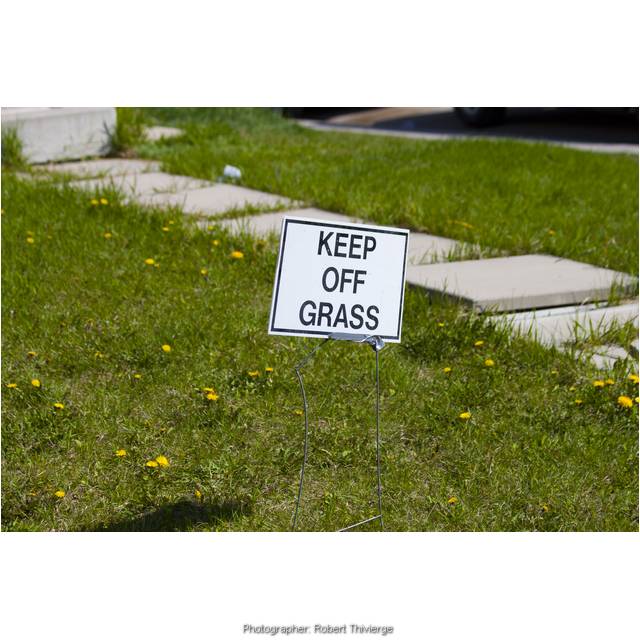 Keep of the Grass
